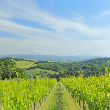 Sunny In Hills Lejlighed