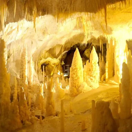 Lejlighed Sunny In Hills *