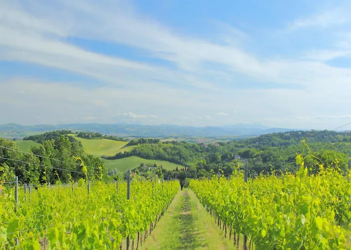 Sunny In Hills Appartement