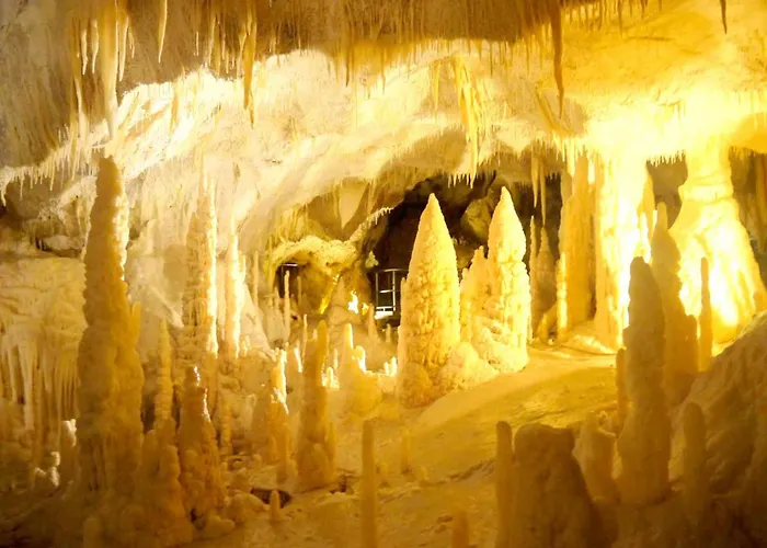 Appartement Sunny In Hills *